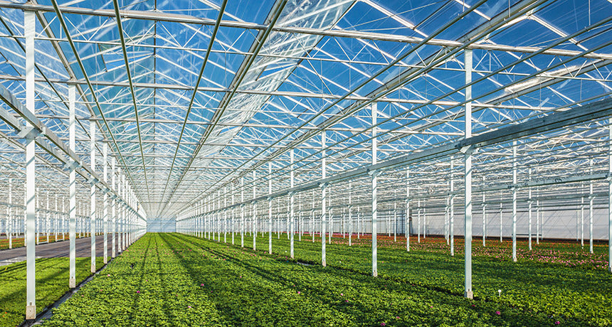 Greenhouse Solar Panels: A Guide to Sustainability