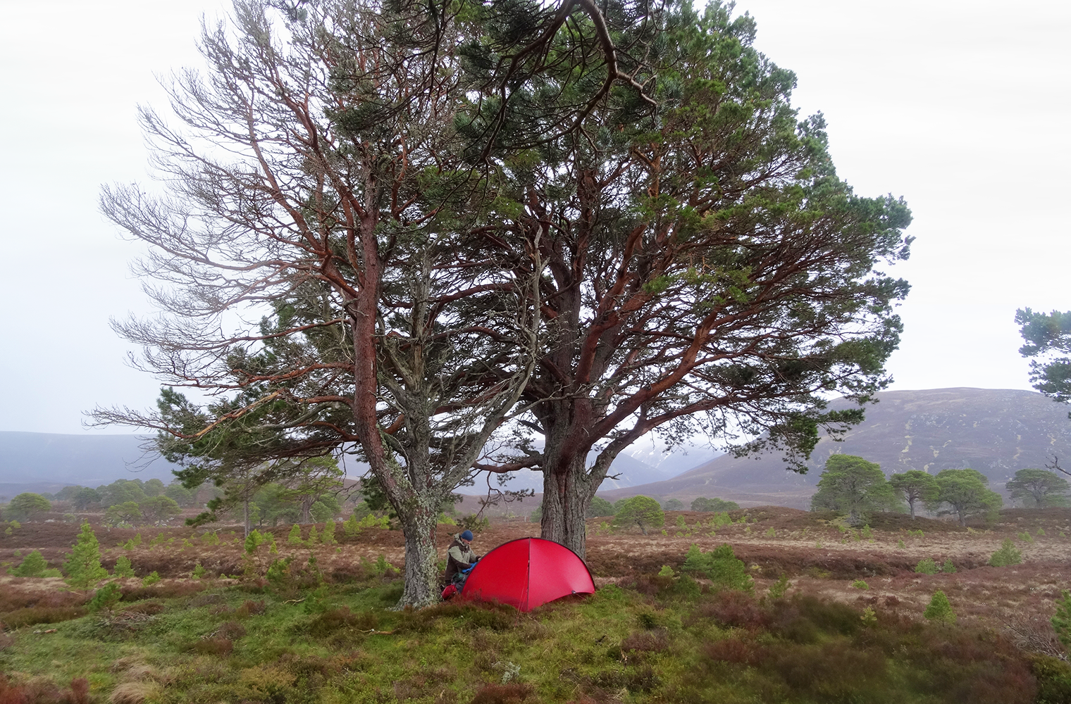 Hilleberg - Niak (Yellow Label)