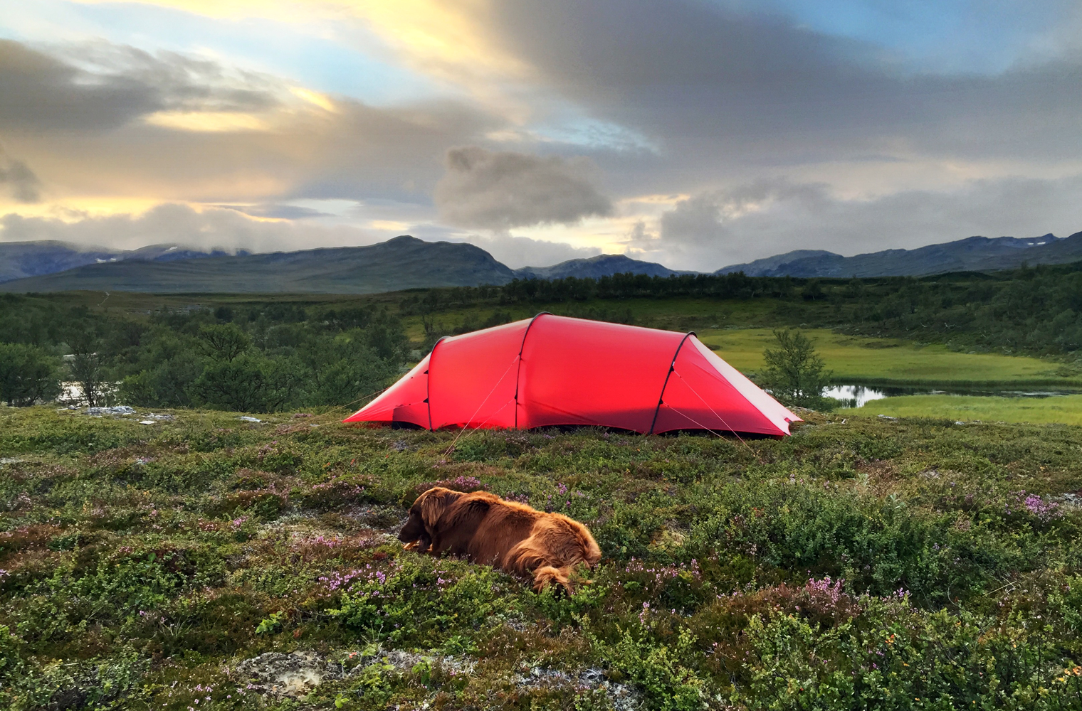 Hilleberg - Anjan GT - 2 & 3 & 4(Yellow Label)